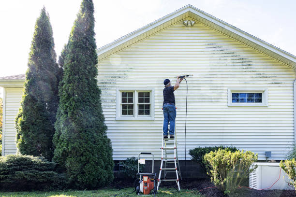Solar Panel Cleaning in Bastrop, LA